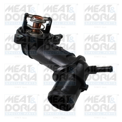 Thermostat, coolant